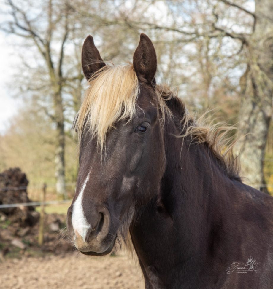 Stormy looking